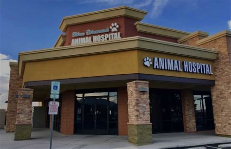 Blue diamond animal hospital - Diamond Veterinary Hospital has proudly served pets and families across the local community for over 60 years. As an American Animal Hospital Association (AAHA) accredited practice, we offer full-service veterinary …